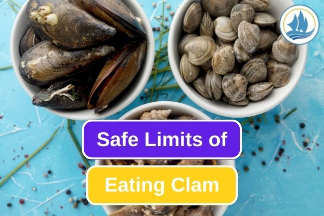 How Much Clam Are Safe To Consume?